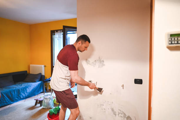 Mold Testing and Removal in Maysville, GA